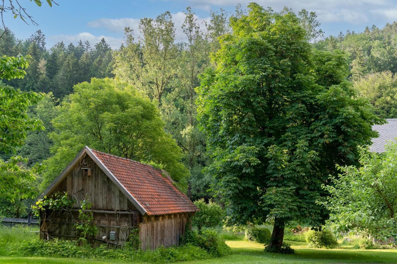 Ferienwohnungen Mittermurnthal Neunburg vorm Wald Exterior photo